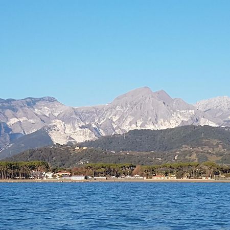 Camping Luna Hotel Marina di Massa Eksteriør billede