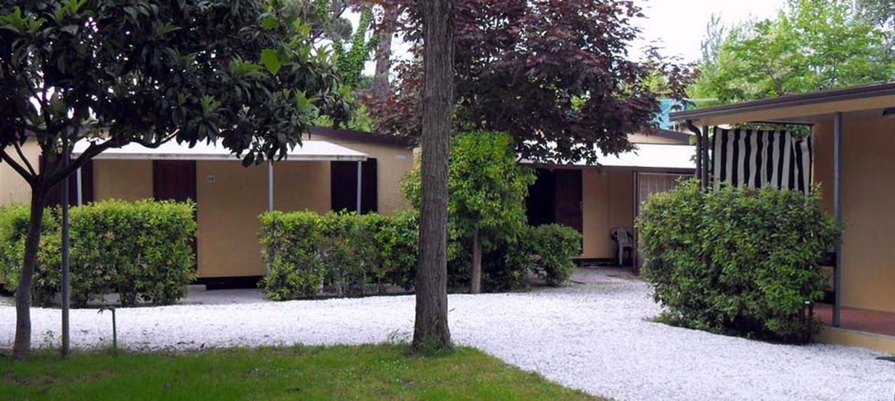 Camping Luna Hotel Marina di Massa Eksteriør billede
